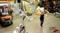 Kuka Arm Dance Test 2 Image