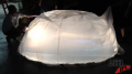 Jellyfish Progress 2 Image