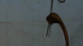 Coca-Cola - Fluid Balloon Test 2 Image