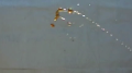 Coca-Cola - Fluid Shooter Test 5 Image