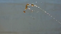 Coca-Cola - Fluid Shooter Test 5 Image