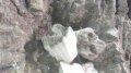 Kowa Coffee Rock Blow Test 120fps Image