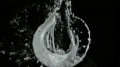 Got Milk Shoot Test 5 Image