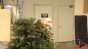 Non Pyro Spark Big Test Image