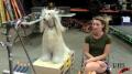 Honda - Dog Car Wind Test Image