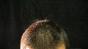 Gatorade Head Steam - Power Tiny Image