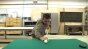 Pool Ball Image