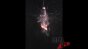 Lightbulb Capacitor Explosion-120fps Test 1 Image