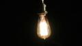 Restoration hardware Bulb Explosion Test B - D63 Image