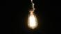 Restoration hardware Bulb Explosion Test B - D63 Image