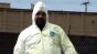 Split pea Image