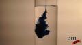 Sherwin Williams Test 1 Image