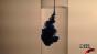 Sherwin Williams Test 1 Image