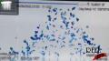 Samsung Bouncing Glass Shards Image