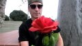 Rose Pedal Test 4 - 240fps Image