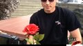 Rose Pedal Test 4- 30fps Image