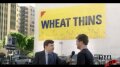 Wheat Thins Image