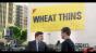 Wheat Thins Image