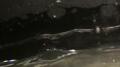 Wave Test 1 - 400fps Image