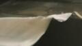 Wave Test 2 - 400fps Image
