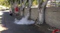 Talc Small 240fps Image
