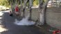 Talc Small 240fps Image