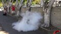 Talc small glitter 240 fps Image