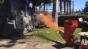 Bark wood - wood chipper Image