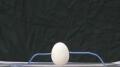 Capacitor Test - Egg 1 Image