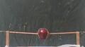 Capacitor Test - Apple Image