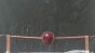 Capacitor Test - Apple Image