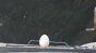 Capacitor Test - Egg 3 Image