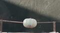 Capacitor Test - White Pumpkin Image