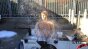 Wet Snow 240fps Image