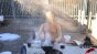 Wet Snow Talc 240fps Image