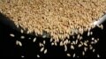 Tip Bowl Barley Image