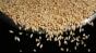 Tip Bowl Barley Image