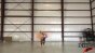Scarecrow Head No Fire Ball Test  - 30fps Image