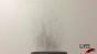 Coffee Ground Membrane Test- 3 bursts 120fps Image