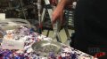 Glitter Air Mover 2 Image