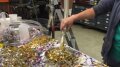 Gold Mylar Image