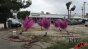 Holi Powder Mortar Tests - 240fps Image