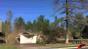 Ford Chainsaw Tree Fall Image