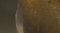 Fluid Tank Image