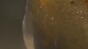 Fluid Tank Image