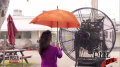 V8 fan Umbrella Image