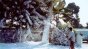 Snow Foam Image