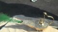 Genie Lamp with Smoke Tests Image