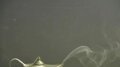 Lamp with Wispy Smoke Image