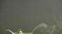 Lamp with Wispy Smoke Image